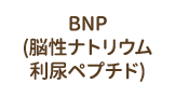 BNP (脳性ナトリウム 利尿ペプチド)